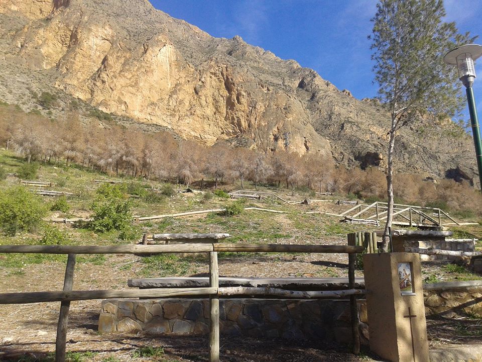 Pinada en el paraje natural de "La Ermita" con pinos infectados y zona talada. Foto:www.facebook.com/unidosporredovan