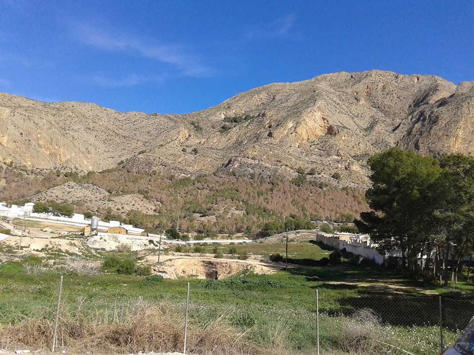 El manto marrón que cubre la Sierra de Redován. Foto: www.facebook.com/unidosporredovan