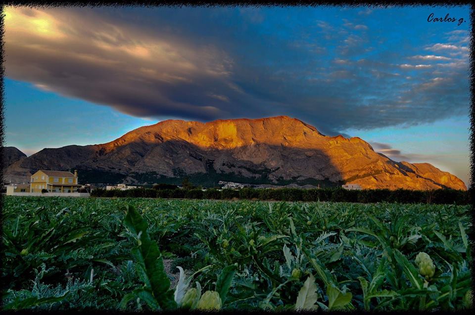 Vistas de la Sierra de Redován y el pueblo desde la huerta. Foto: Carlos García.